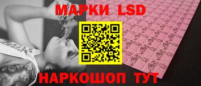 гашик Донецк