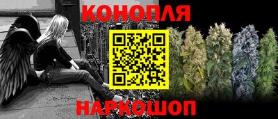 гашик Донецк